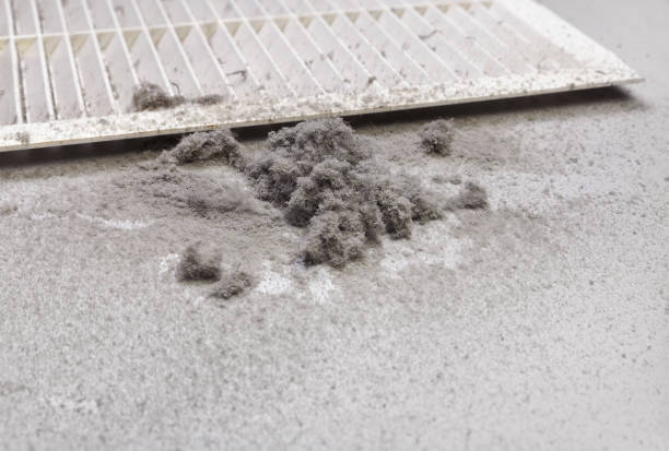 Best Affordable Duct Cleaning Services  in Eddystone, PA