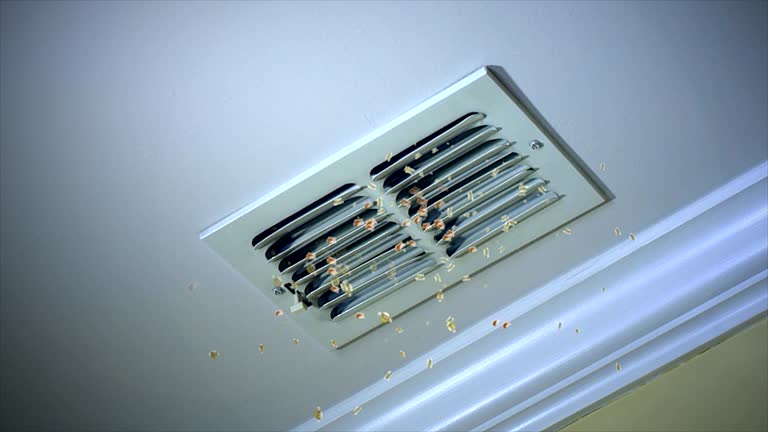 Best Best Air Duct Cleaning Company  in Eddystone, PA