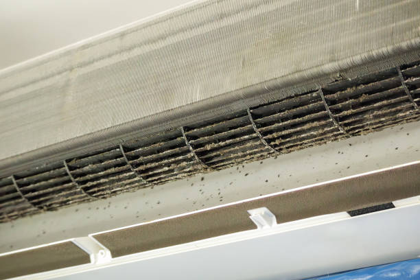 Best HVAC Duct Inspection Services  in Eddystone, PA
